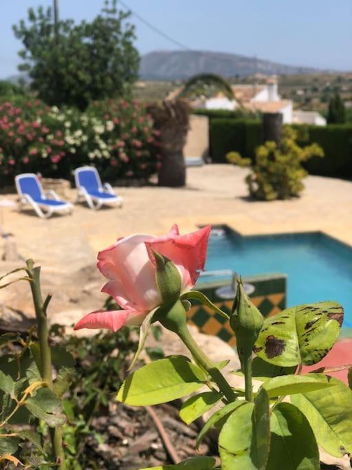 Rustico Appartment 'Olta' In Finca, See-And Garden Side Teulada Luaran gambar