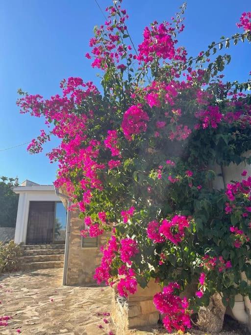 Rustico Appartment 'Olta' In Finca, See-And Garden Side Teulada Luaran gambar